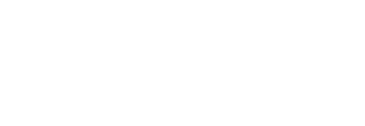 twelve mile logo